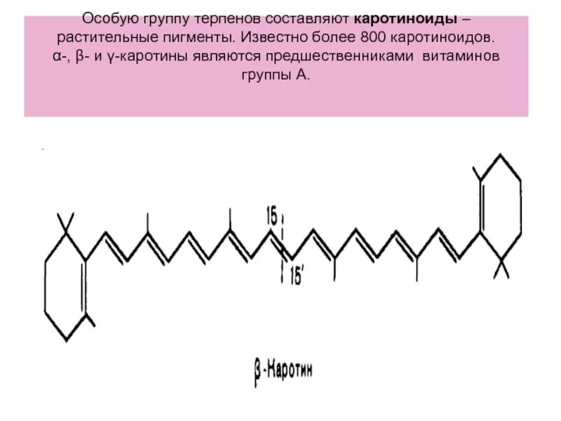 Пигмент каротиноиды. Тетратерпены каротиноиды. Группа каротиноидов. Каротиноиды биохимия. Терпены растительные пигменты.