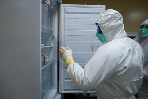 Калининград заболеваемость