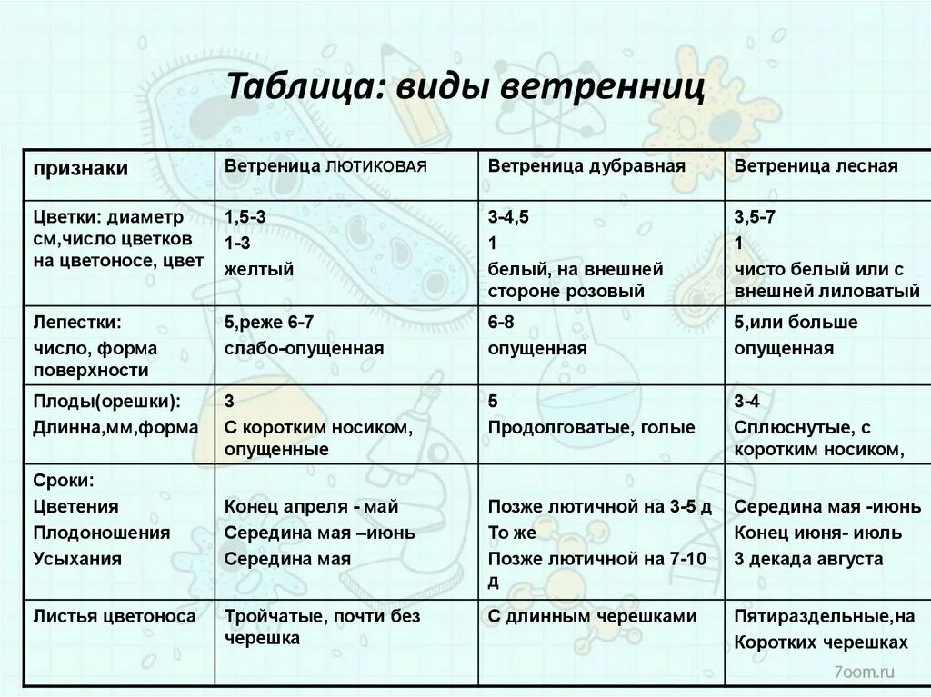 Составить таблицу критерии вида Вид. Критерии вида презентация онлайн