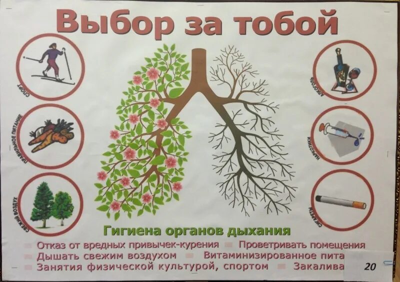 профилактика заболеваний органов дыхания памятка. профилактика заболеваний органов дыхания сообщение. профилактика заболеваний органов дыхания памятка. меры первичной профилактики заболеваний органов дыхания. буклет профилактика заболеваний дыхательных путей.