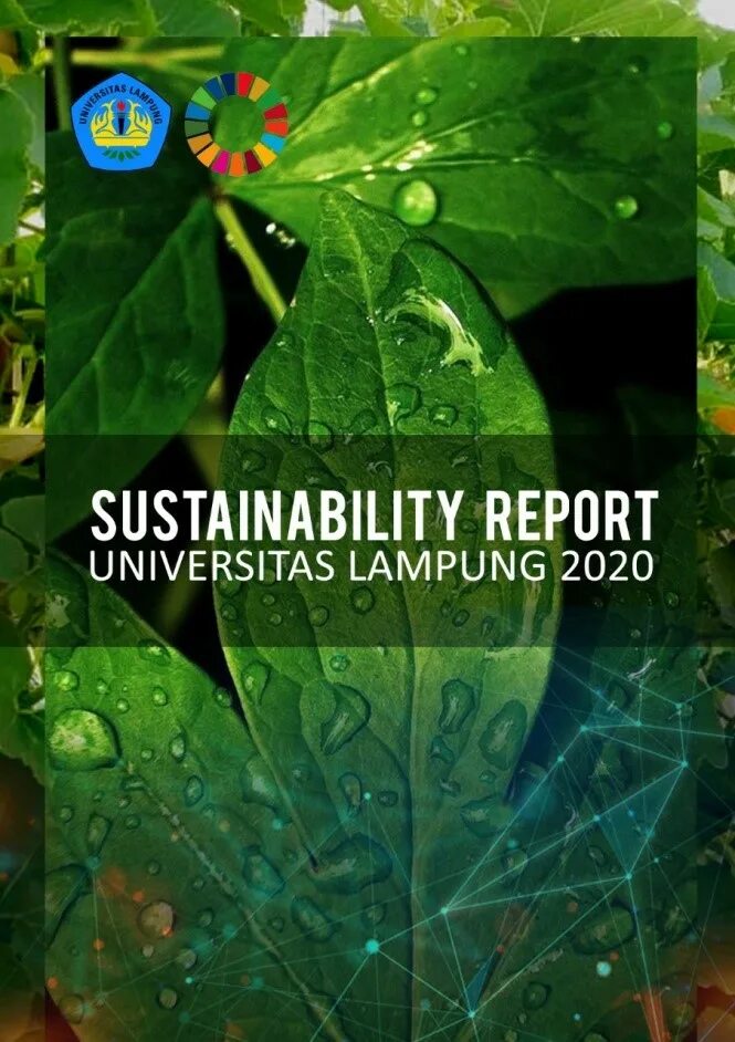 BP Sustainability Report 2020. Sustainability report