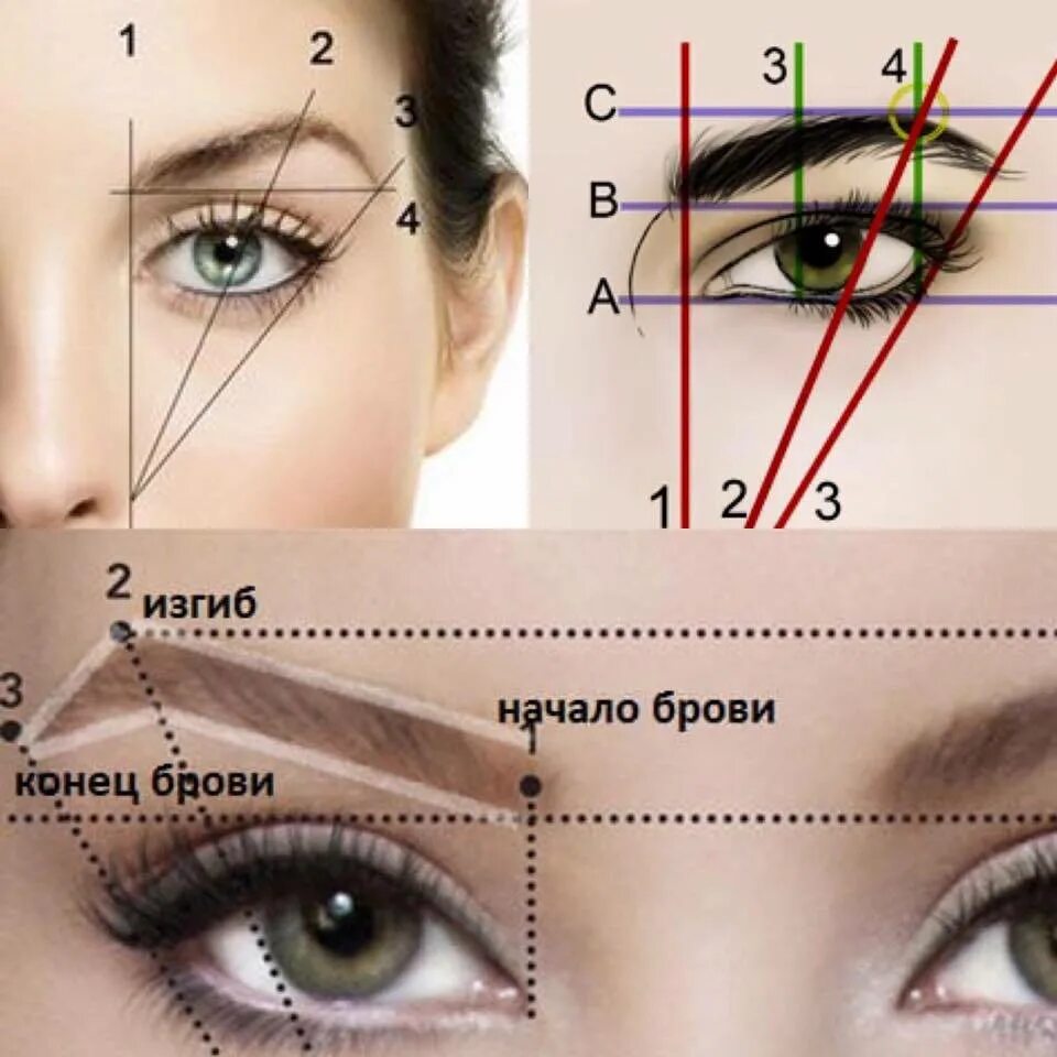 Изгиб нити. Правильное построение бровей схемы. Брови схема корректировки. Построение формы бровей. Разметка бровей.
