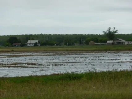 Погода село успенка