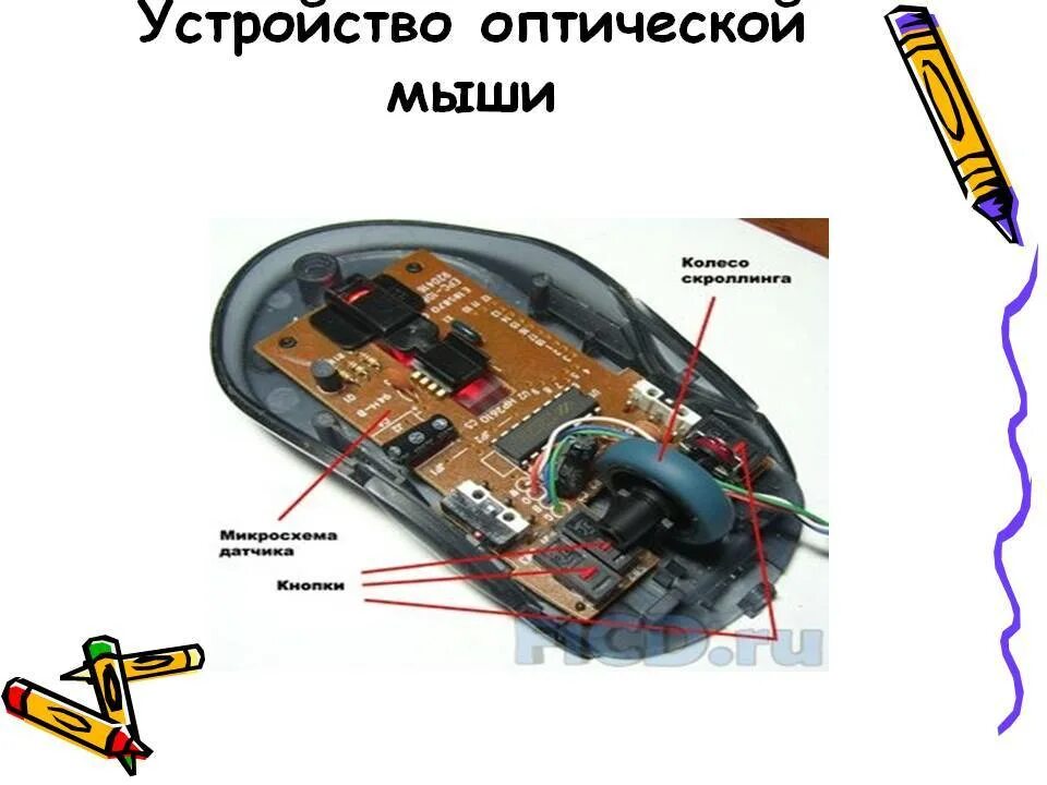 Внутренняя мышь. Оптическая мышь строение. Оптическая мышка строение. Плата компьютерной мыши вид снизу. Схема беспроводной оптической мышки.