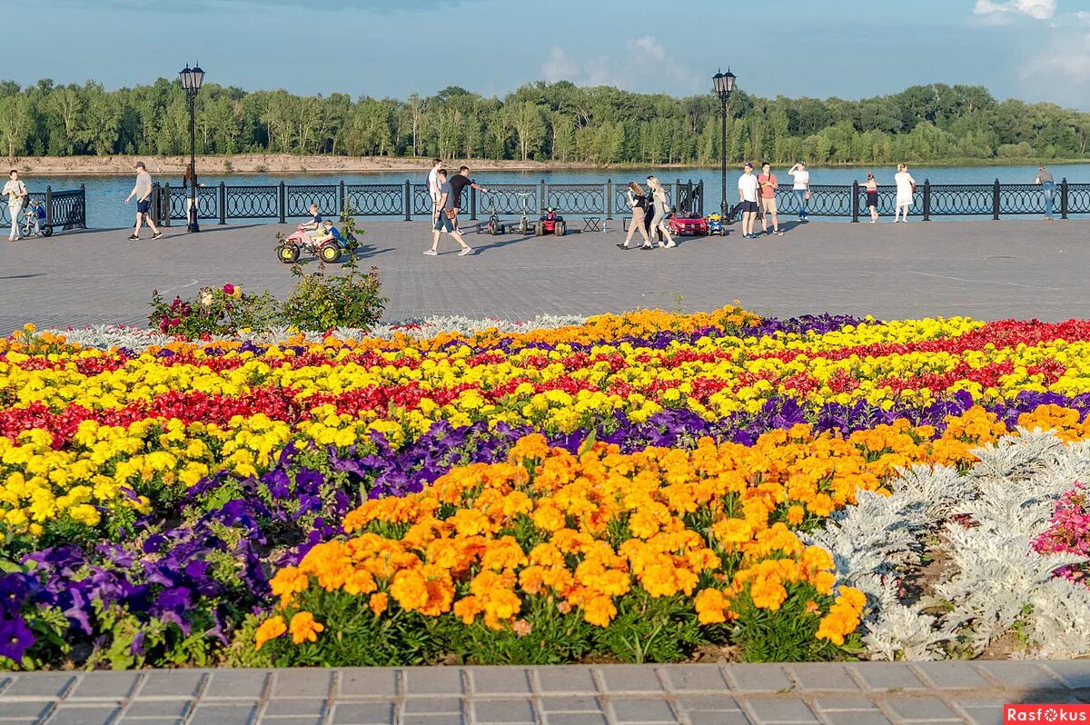 Купить цветы в набережных. Набережная Кама Сарапул. Набережная города Сарапула. Набережная Сарапула летом. Сарапул Кама пляж.