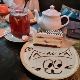 Сны любимого кота ул глаголева