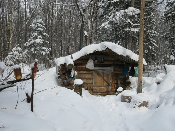 охотничьи зимовья в тайге восточной сибири. зимовье цель. избушка зимовье землянка охотника. зимовье казахстан. зимовье цель.