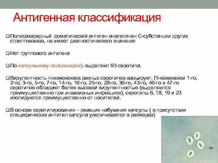 Антигены пневмококков. Пневмококк на питательной среде. Методы диагностики пневмококковой инфекции. Стафилококки стрептококки пневмококки. Антигенная структура риккетсий.