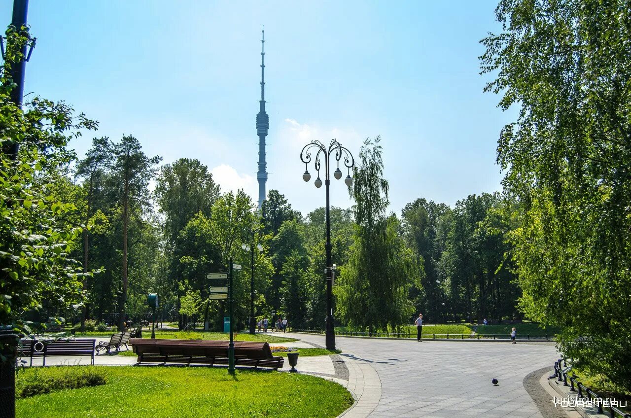 Царицыно музей-заповедник. Москва парк останкино останкино. Парк вокруг москвы. На красногвардейской парк около метро. Парк 850-летия москвы.