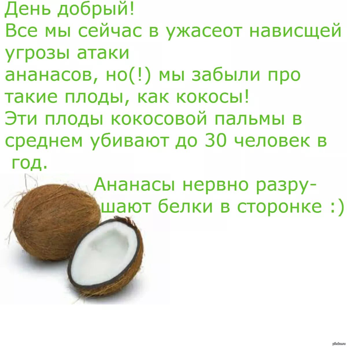 Coconut перевод на русский. Загадка про Кокос. Стихотворение про Кокос. Загадка про Кокос для детей. Загадка детская про Кокос.