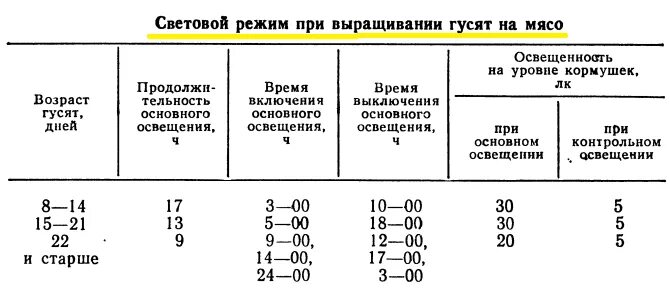 Температура в брудере для индюшат. Температурный режим для гусят. Световой день для гусят. Температурный и световой режим для гусят. Температурный график для гусят.