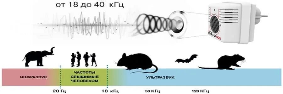 Слышу ультразвук. Низкочастотный ультразвук 44 КГЦ. Ультразвук низкой частотности. Низкие ультразвуковые частоты. Частота ультразвука.