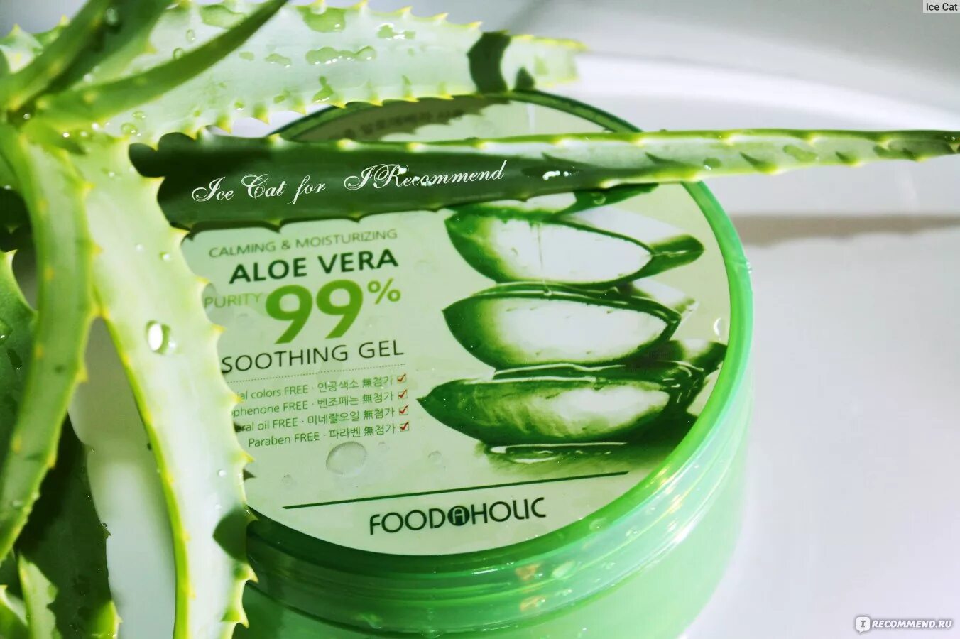Использовать гель алоэ. Foodaholic универсальный гель алоэ 500мл aloe vera soothing gel. aloe vera 99%. gel aloe 99. ibiza aloe vera 99.