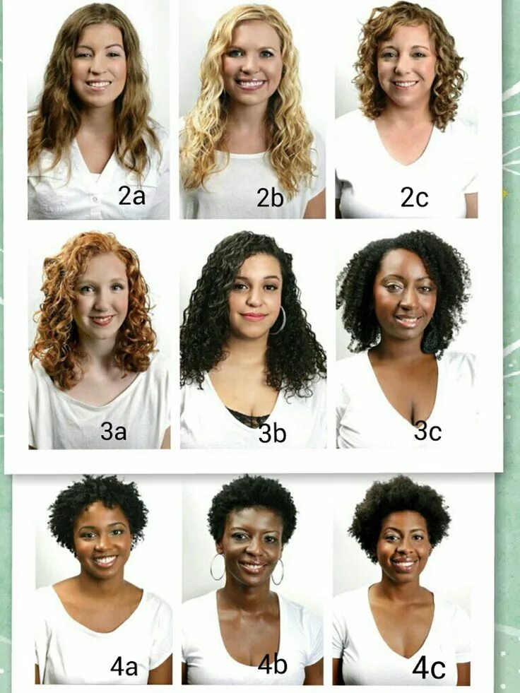 Curl types
