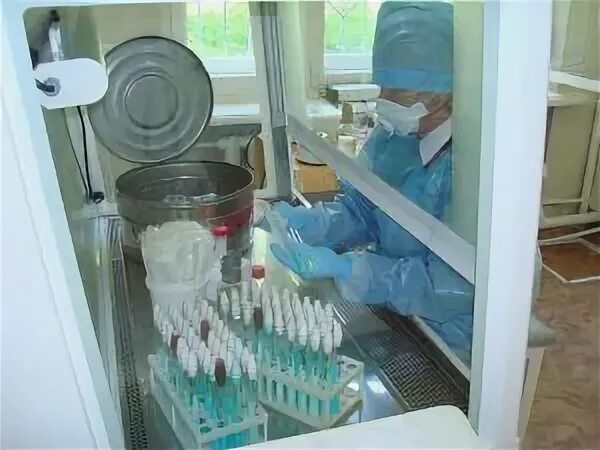 Работа туберкулезной больницы