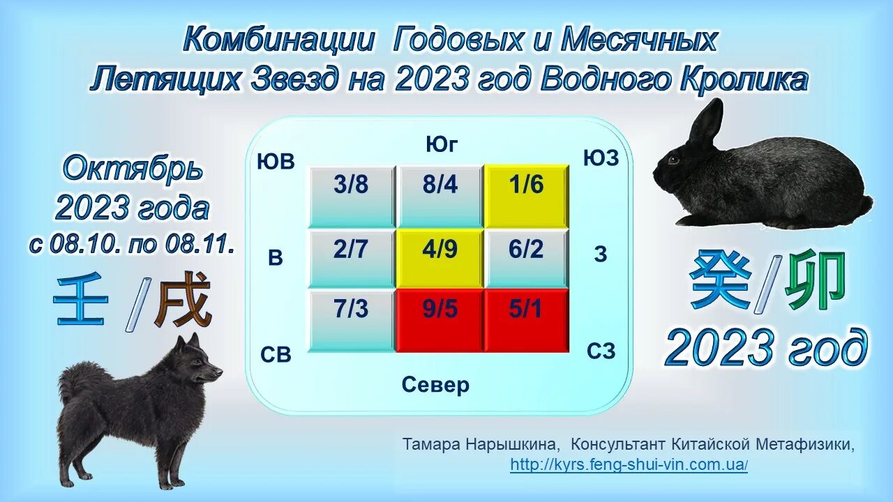 2023 красивые цифры. год зайца 2023. 2023 золотые цифры. новый год 2023 в хорошем качестве. подскажи 2023 год.
