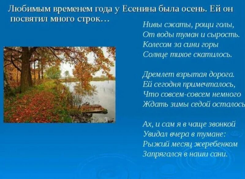Несколько строк стихотворения