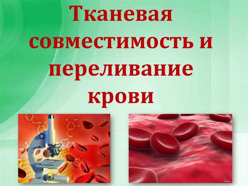 Кровотечения 8 класс биология. Тканевая совместимость и переливание крови 8 класс. Кровотечения переливание крови презентация. Тканевая совместимость и переливание крови 8 класс биология конспект. Биология 8 класс тема переливание крови.