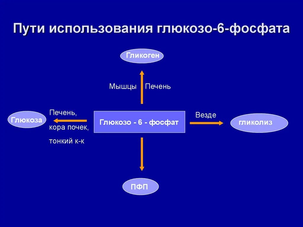 Путь преобразований