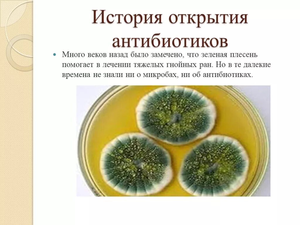 История открытия антибиотиков микробиология. Открытие антибиотиков кратко. Открытие антибиотиков кратко для детей. Открытие антибиотиков микробиология.