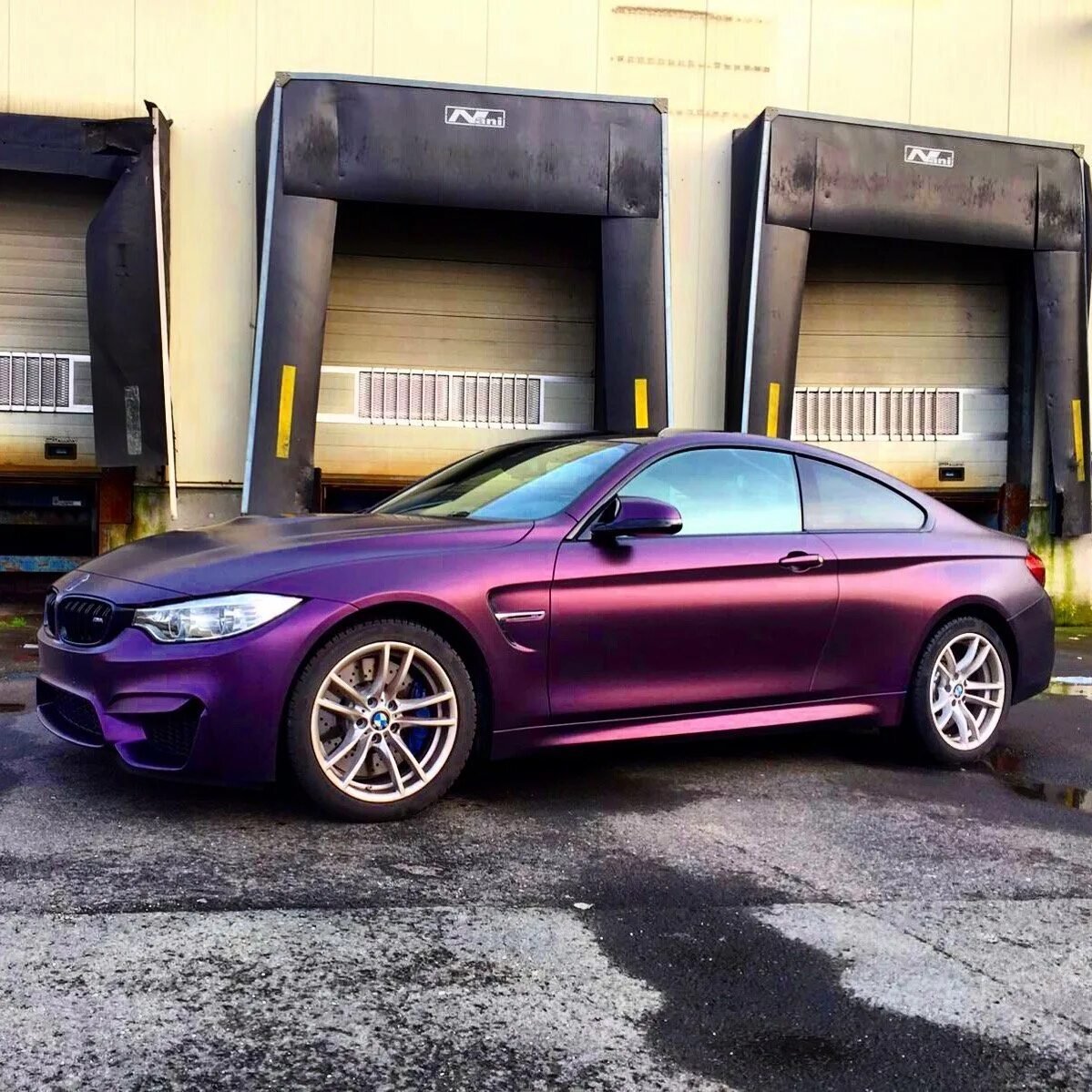 Номер хамелеон. Миднайт Пурпл. BMW m4 Midnight Purple. Хамелеон металлик БМВ м5. Arlon Midnight Purple.