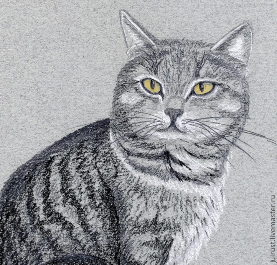 Серый для печати. Рисунки котов. Серый кот картина. Серый кот нарисованный. Серый кот рисовать.