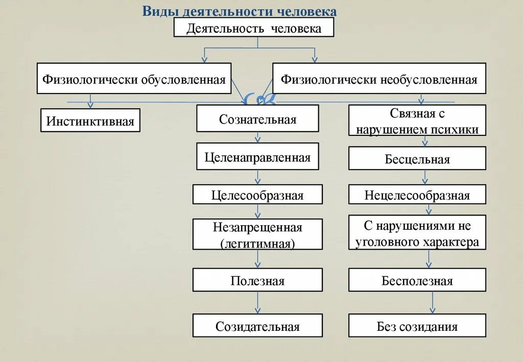 Выбранный вид деятельности. Виды деятельности человека. Види детилнисти человек. Формы деятельности человека. Основные виды деятельности человека.