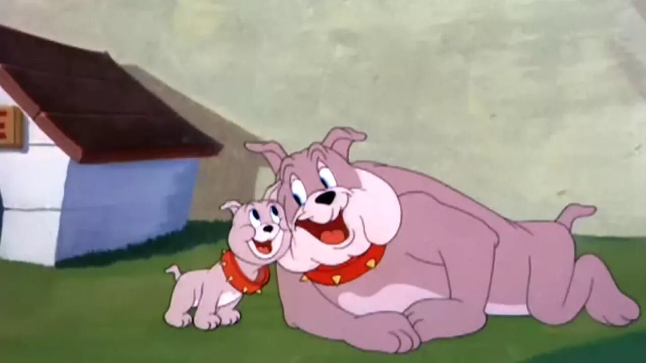 Пес из тома и джерри. Собака из тома п джерри. Том и джерри собака и щенок. Бульдог из том и джерри. Бульдог из тома джерри 2021.