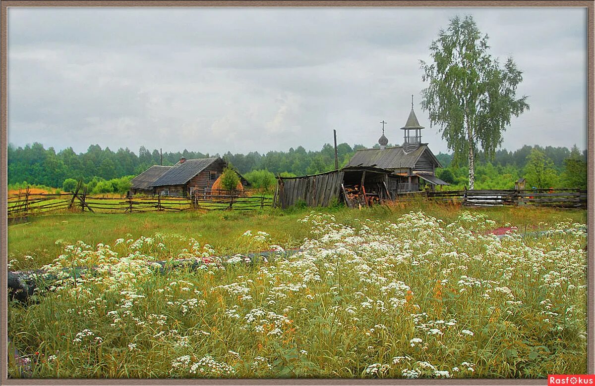 осенняя деревня. деревенские мотивы картинки. красота русской деревни. сельский мотив. сельский мотив.