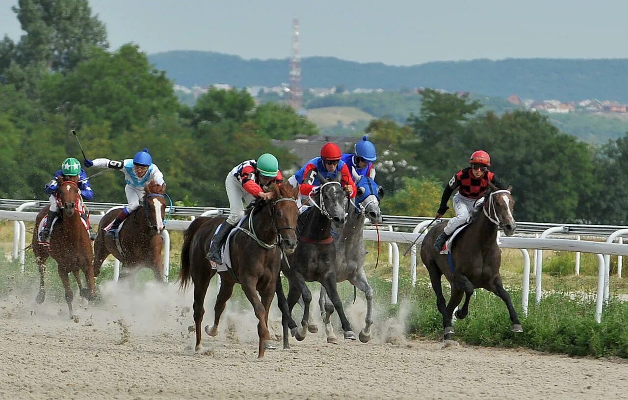 кемерово ипподром рысаки. новосибирский ипподром 2017. новосибирск главный ипподром на сегодня. новосибирский ипподром. новосибирск главный ипподром на сегодня.