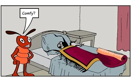 A bug перевод. As snug as a bug in a rug перевод. cat bad bug rug стих. see the bug on the rug. phonics bug in a rug (pb).