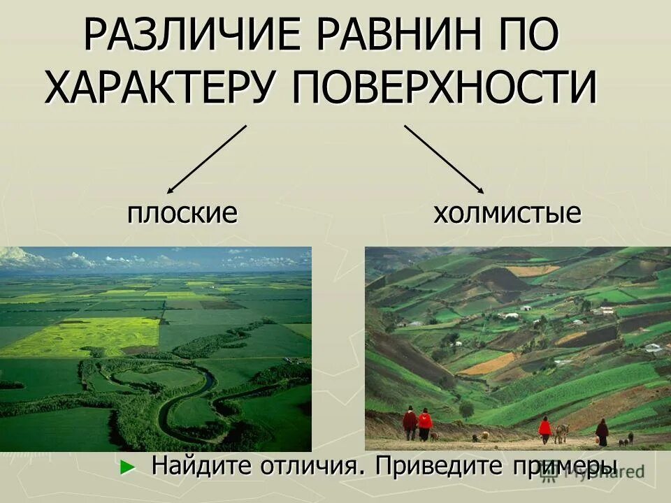 Рельеф земной поверхности 5 класс география. Плоские и холмистые равнины. Различия равнин.