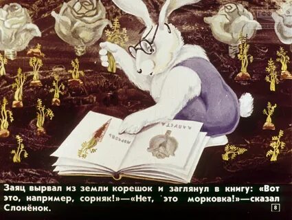 Заяц работаешь работаешь