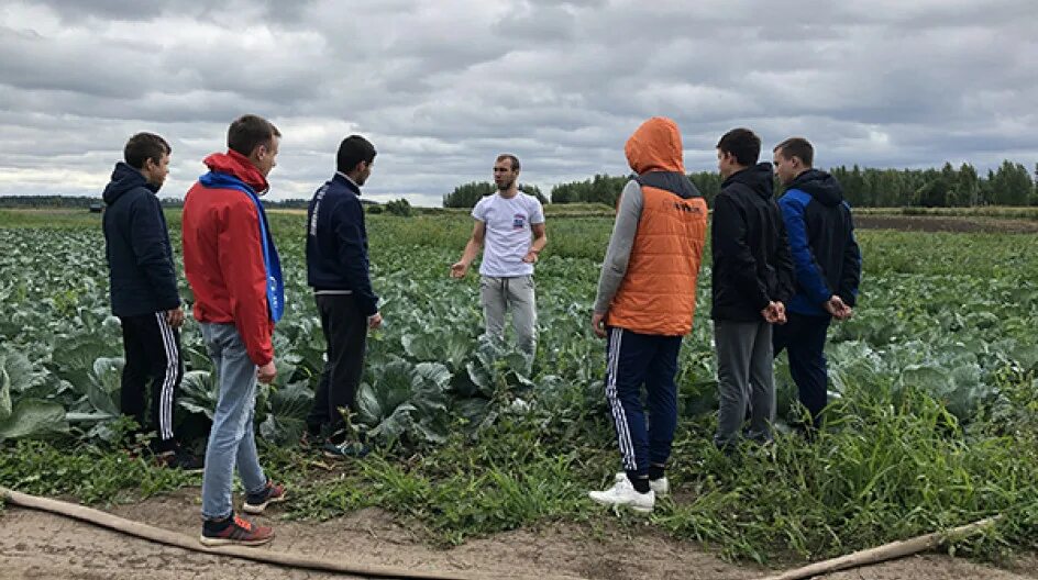 Молодежь на селе. Бизнес на селе для молодежи. Молодежь села. Фото молодежь работа в селе.