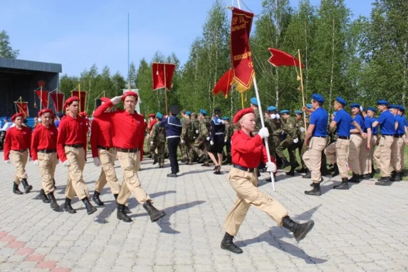 Курсы зарницы