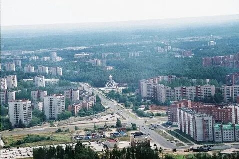 Обл сосновый