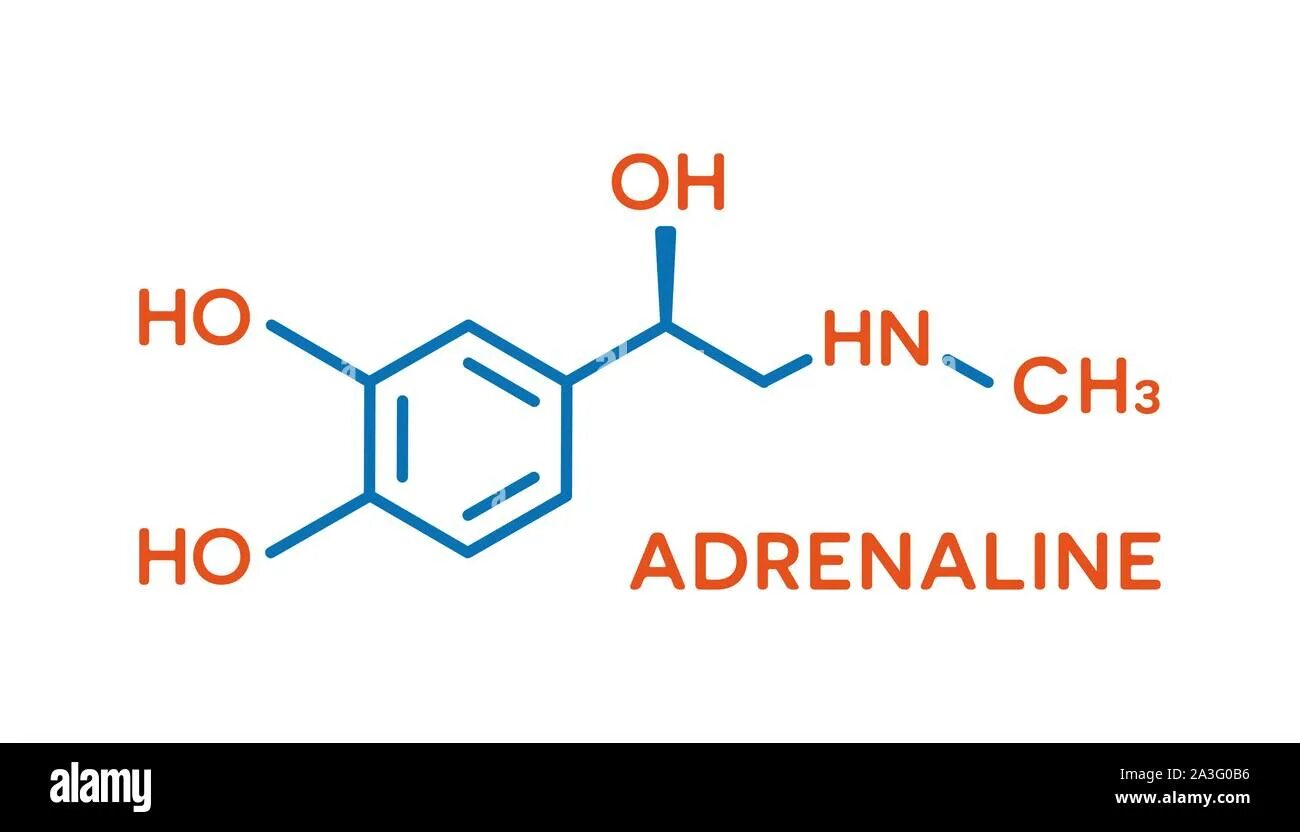 Рисунок адреналина. Адреналин гормон. Гормоны символ. Адреналин формула молекулярная. Адреналин гормон формула.