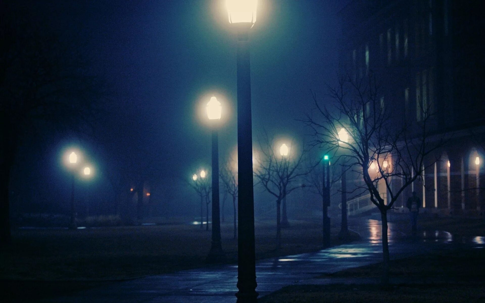 Фонарей мерцает свет. Цвейг улица в лунном свете. Уличный фонарь ночью. Вечерняя улица с фонарями. Ночь улица фонарь.