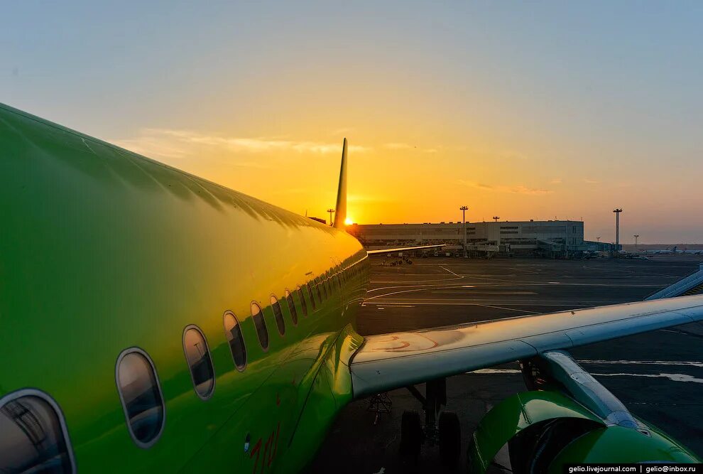 S7 airlines россия. Самолёты авиакомпании s7 Airlines. Самолет с 7 в Домодедово. Самолет s7. Флот авиакомпании s7.