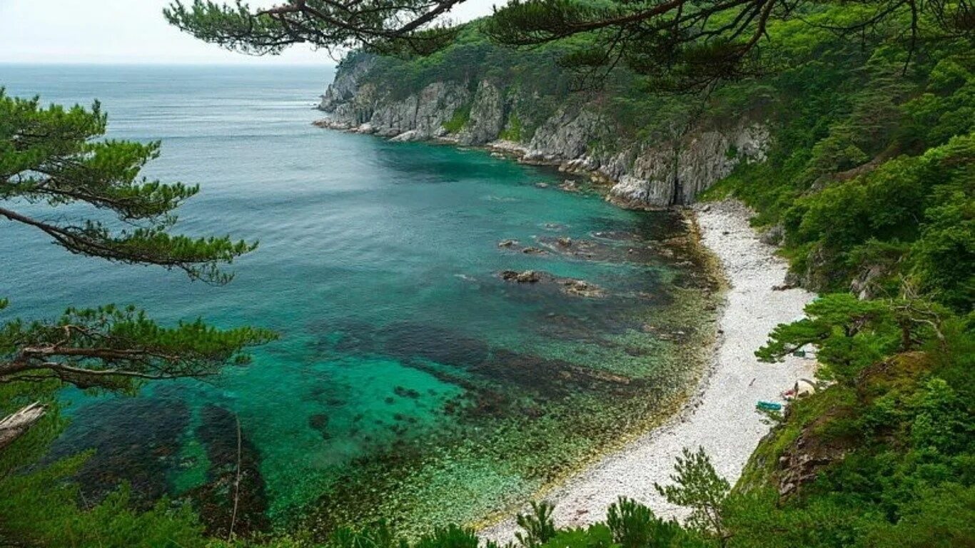 Самый дальний берег. Приморье полуостров Гамова. Полуостров Гамова бухта Витязь. Мыс Гамова Приморский край. Заповедник Приморский край Дальневосточный морской биосферный.