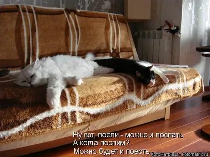 Можно спать готовить слушать