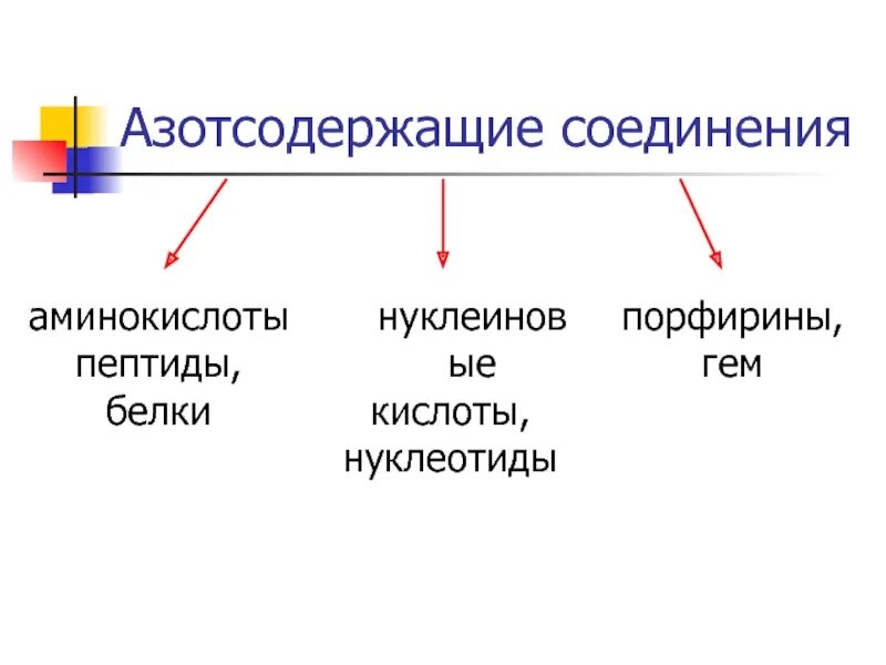 Азотсодержащие соединения амины. Азотсодержащие соединения аминокислоты. Азотосодержащее органическое соединение Амины. Азотосодержащее органическое вещество. Азотсодержащие соединения белки.