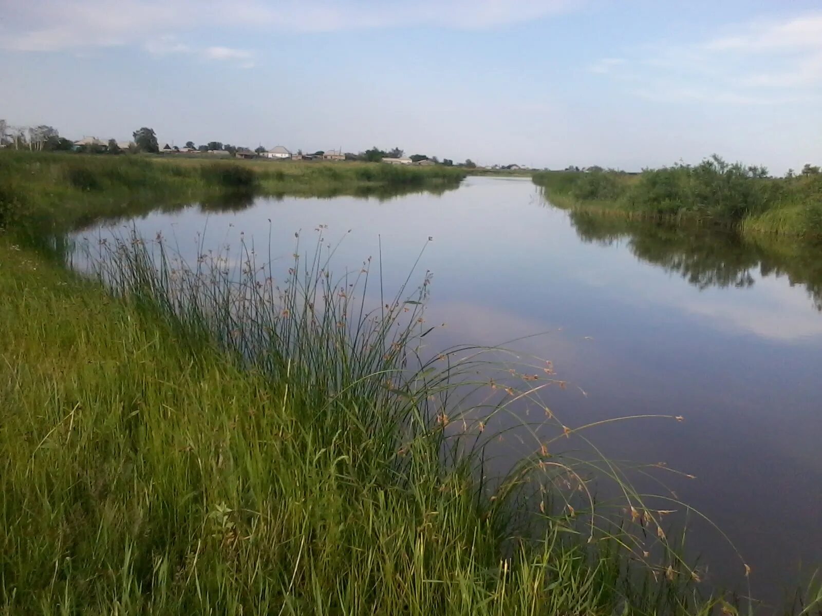 Погода в баево на 10 дней алтайского. Река Кулунда. Река Кулунда Благовещенский район. Река Кулунда Алтайский. Село Шимолино Алтайский край.