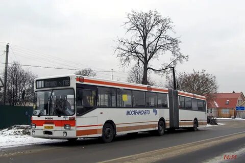 Автобусы ногинск вишняково