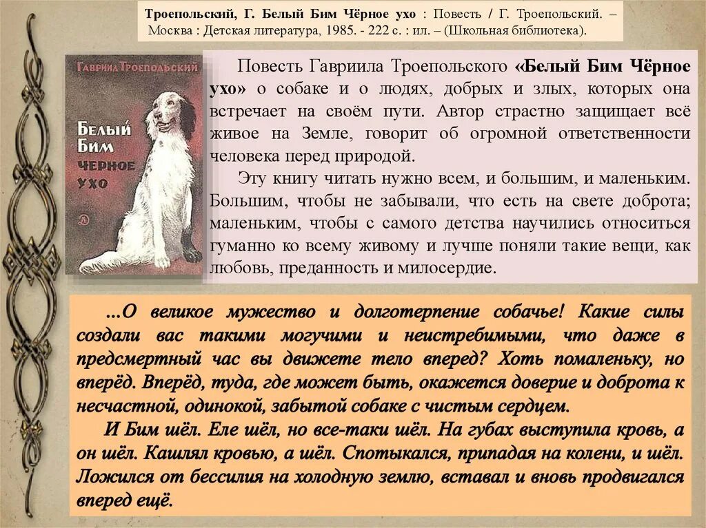 Ухо в книги рассказы. Белый Бим черное ухо. Повесть Троепольского белый Бим черное ухо. Белый Бим чёрное ухо краткое. Сочинение белый Бим черное ухо.