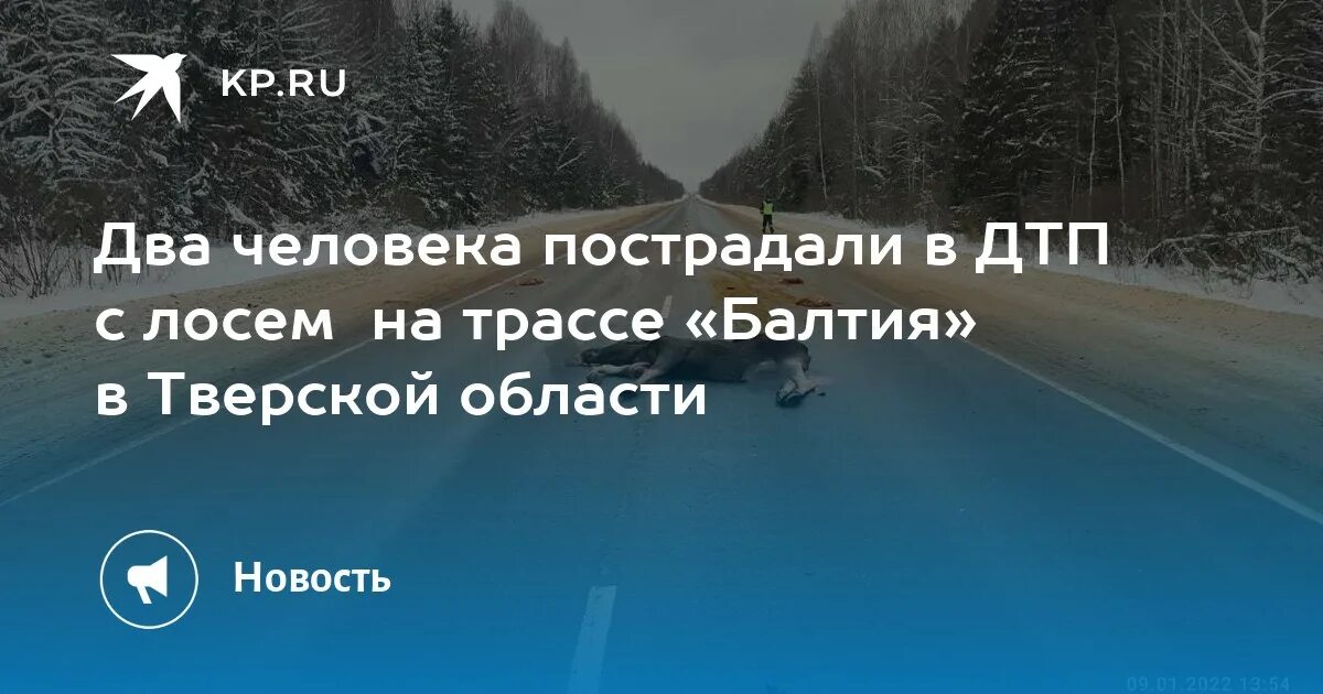 Км лось. Лось статуя Тверской области на трассе м10. Авария с лосем 14 мая 2023 года на платной дороге м7.