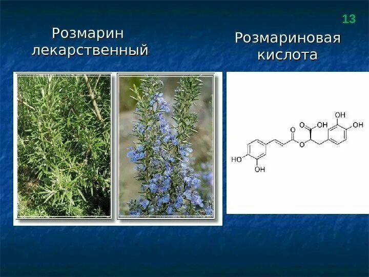 Как растения используют кислоту
