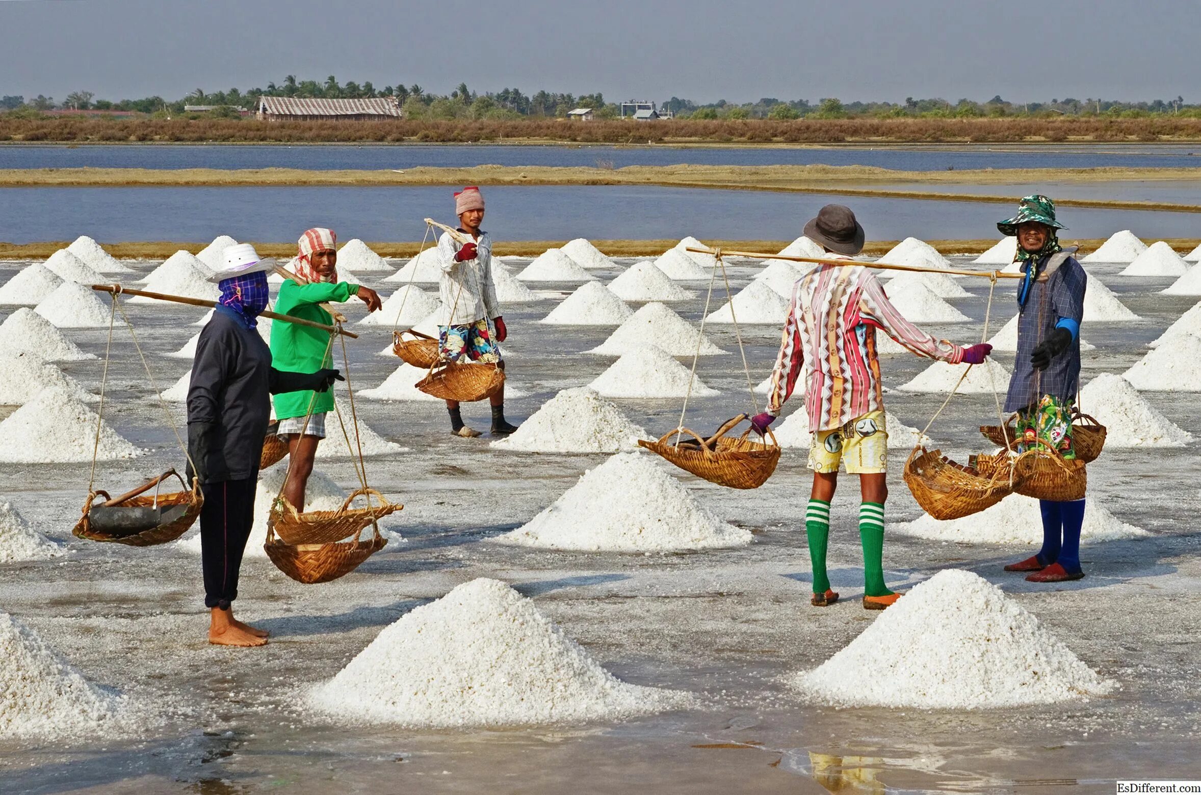 Получают из морской воды. Добыча соли. Добыча морской соли. Добыча соли из морской воды. Поваренная соль добыча.