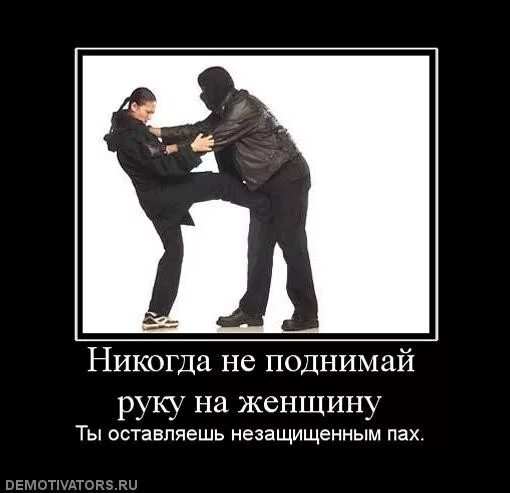 Никогда не поднимай