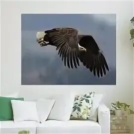Какое животное летает но не птица. Какое животное летает но не птица